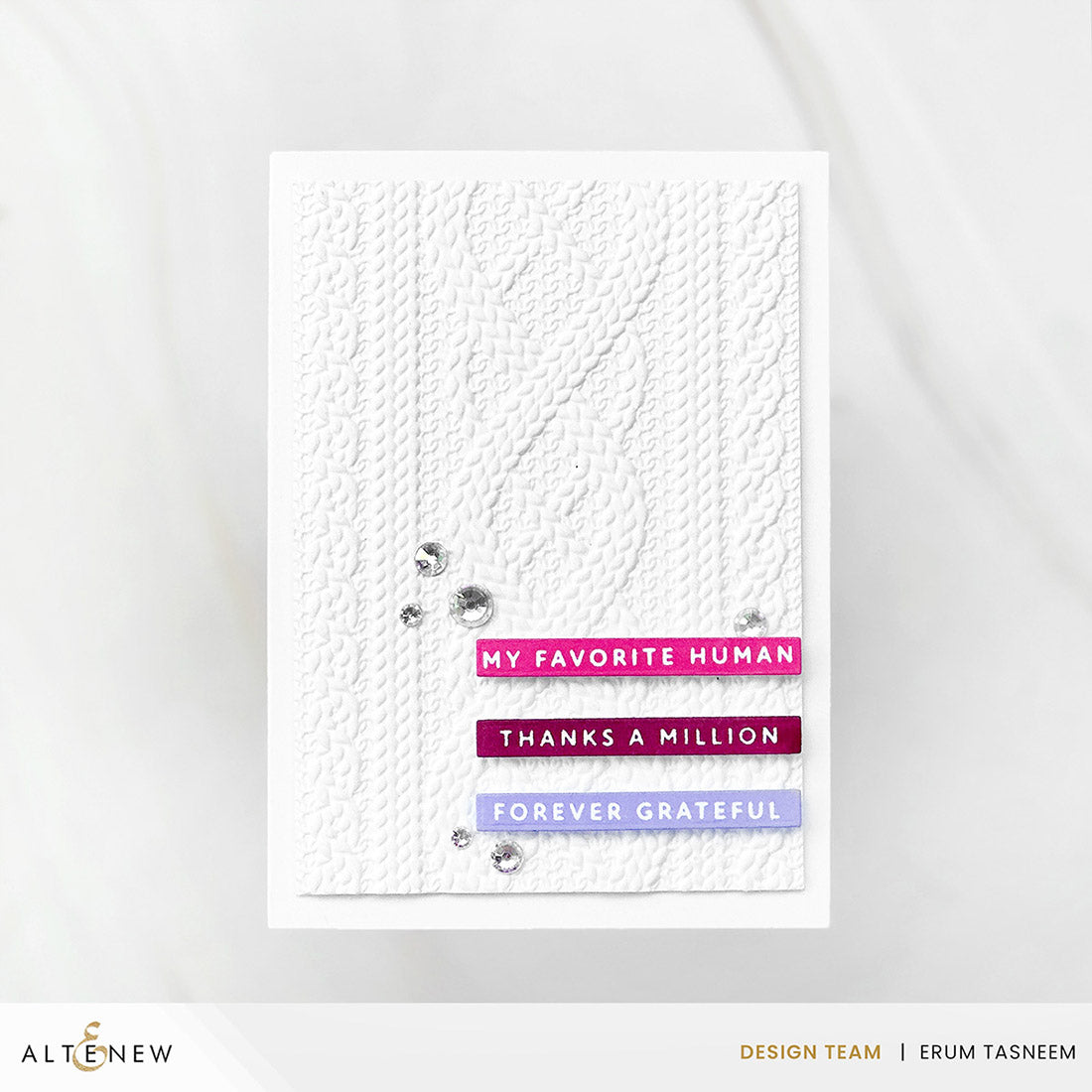 Altenew One-Go: Solid Sentiment Strips 3 Press Plates/Foil Plates (Gratitude Edition)