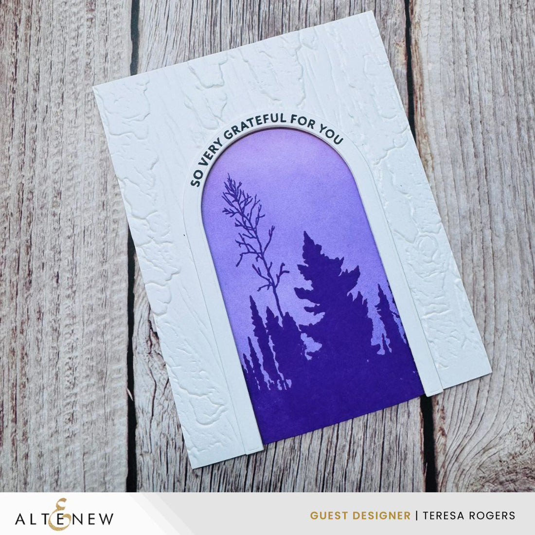 Altenew Arched Sentiments Stamp & Die Bundle