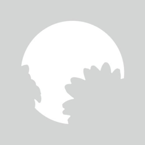 Crafter's Companion 3D Emboss Macro Aperture Folders Gorgeous Gerberas (CC-3DEF5.5-MD-STEN-GOGE)