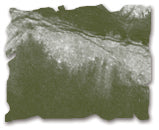 Tim Holtz Distress Pad Reinker Forest Moss