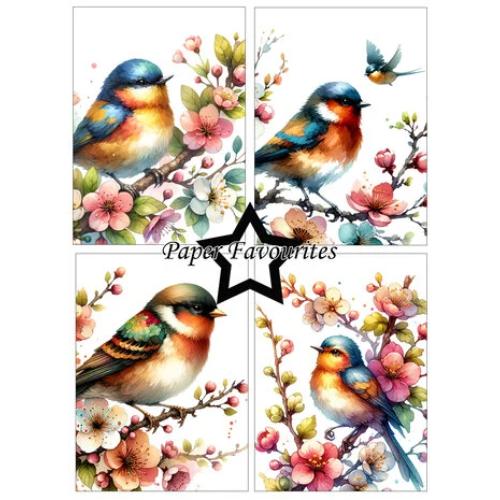 Paper Favourites Birds and Flowers A6 Paper Pad (PFA569)
