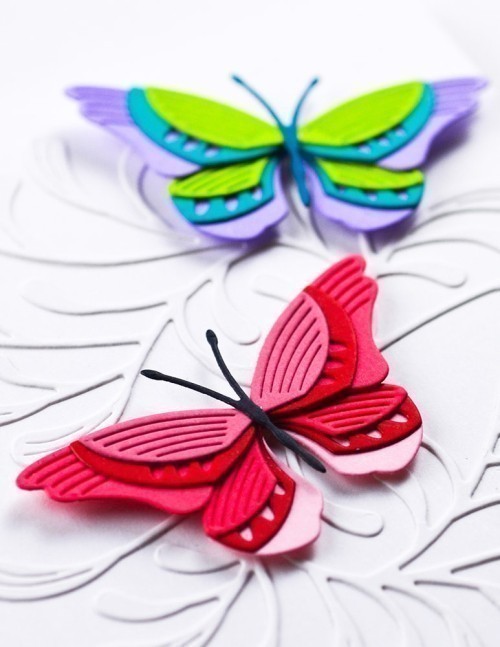 Birch Press Design Ornamental Branch