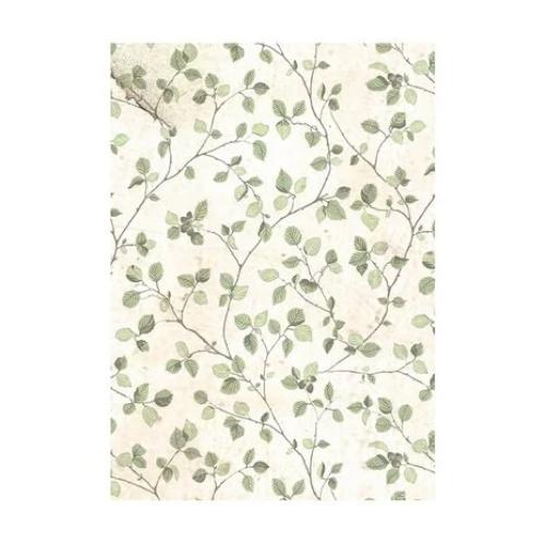 Stamperia Selection 8 Rice paper A6 backgrounds - House of Roses DFSAK6039