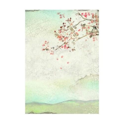 Stamperia Selection 8 Rice paper A6 backgrounds - House of Roses DFSAK6039