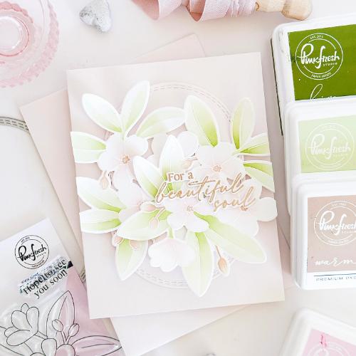 Pinkfresh Studio Plumeria stamp/stencil/die Bundle