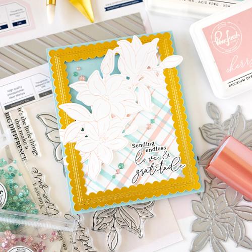 Pinkfresh Studio delighted for you Stamp/ die / stencil Bundle