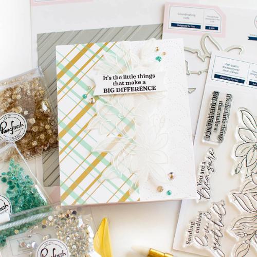 Pinkfresh Studio delighted for you Stamp/ die / stencil Bundle