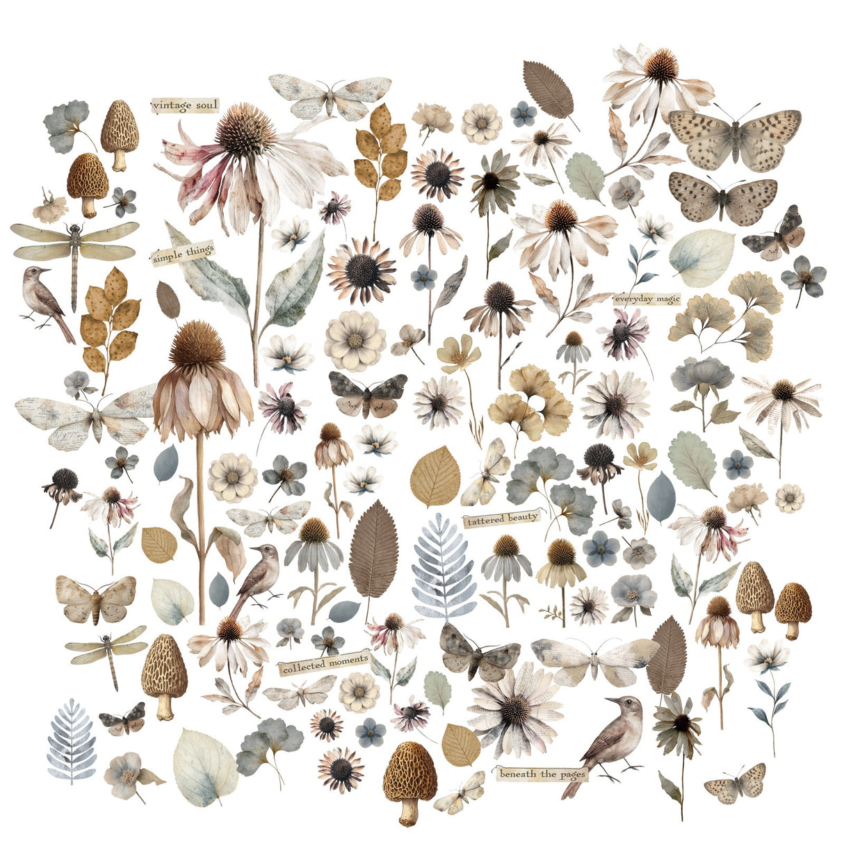 49 and Market Laser Cut Outs Wildflowers, Faded Memory Lane