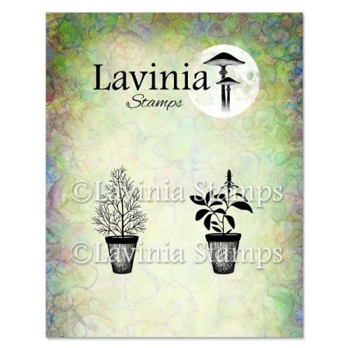 Lavinia Stamp Dill & Sage Pots Stamp LAV939