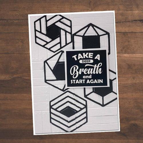 Paper Rose Studio Wood Panels 3D Embossing Folder 21480