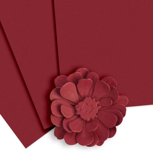 Altenew Vineyard Berry Cardstock (10 sheets/set)