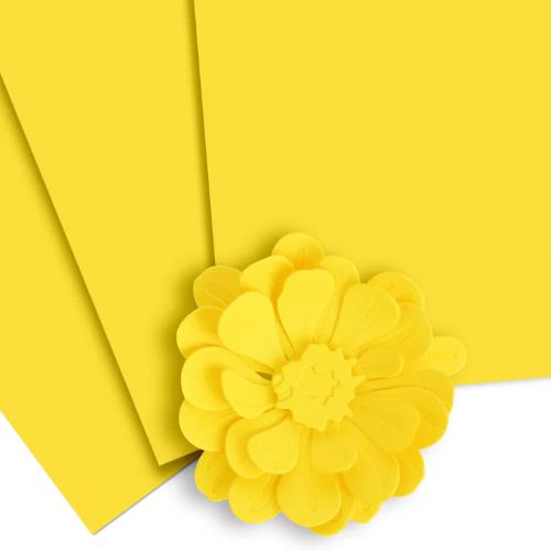 Altenew Fresh Lemon Cardstock (10 sheets/set)