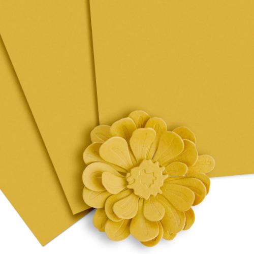 Altenew Honey Drizzle Cardstock (10 sheets/set)