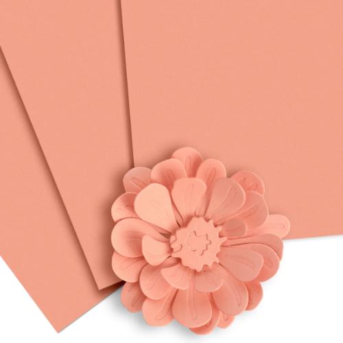 Altenew Rouge Cardstock (10 sheets/set)