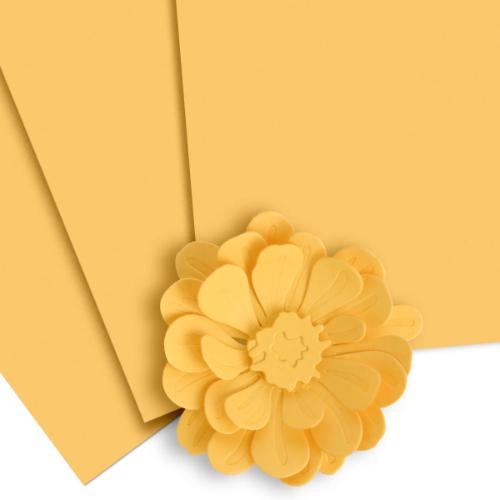 Altenew Warm Sunshine Cardstock (10 sheets/set)