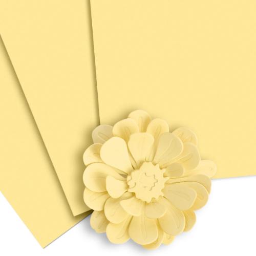 Altenew Buttercream Cardstock (10 sheets/set)