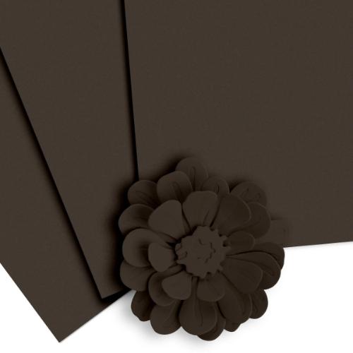 Altenew Dark Chocolate Cardstock (10 sheets/set)