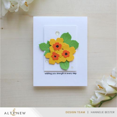 Altenew Craft Your Life Project Kit: Bold & Beautiful