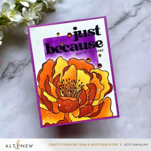 Altenew Versatile Greetings 3 Comfort Edition - Complete Bundle