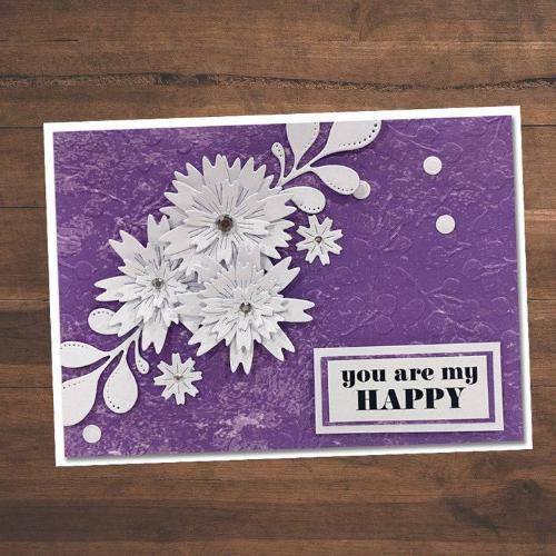 Paper Rose Studio Baby Blue Embossing Folder 20384