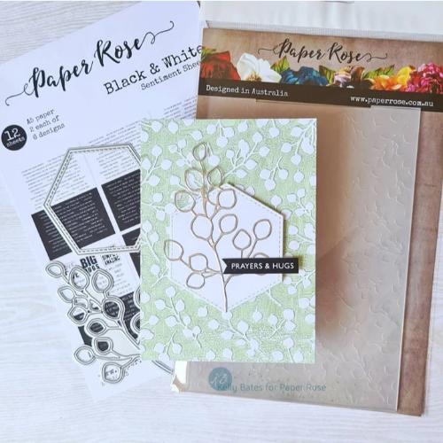 Paper Rose Studio Baby Blue Embossing Folder 20384