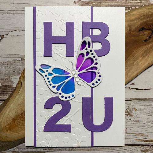 Paper Rose Studio Baby Blue Embossing Folder 20384