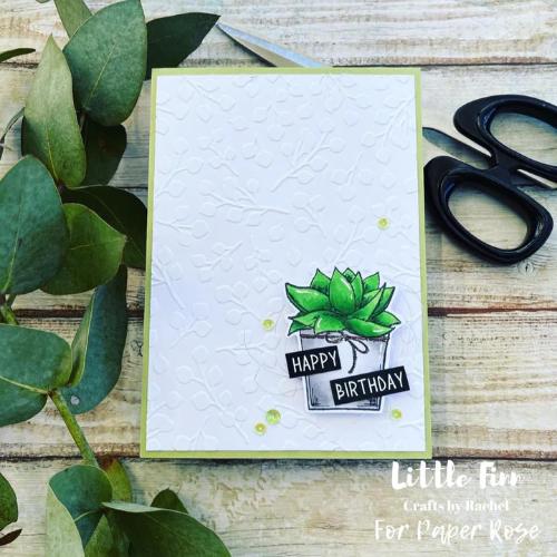 Paper Rose Studio Baby Blue Embossing Folder 20384