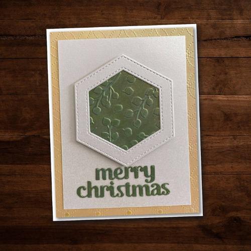 Paper Rose Studio Baby Blue Embossing Folder 20384