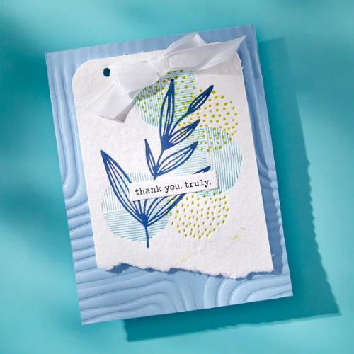 Spellbinders Lined Corners 3D Embossing Folder from the Modern Botanicals Collection by Dina Wakley