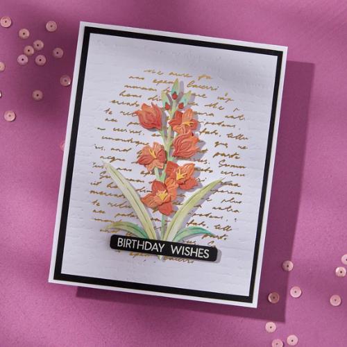 Spellbinders Script Text BetterPress Plate from the Wildflowers Collection by Lisa Horton