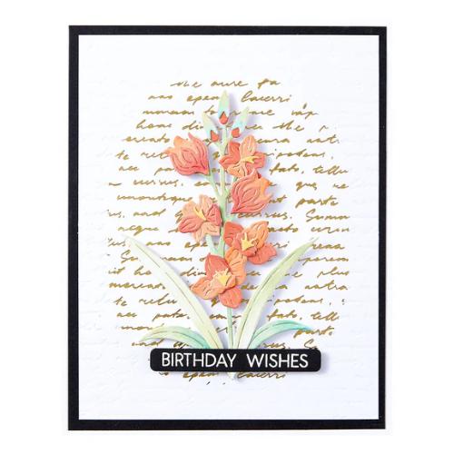 Spellbinders Script Text BetterPress Plate from the Wildflowers Collection by Lisa Horton