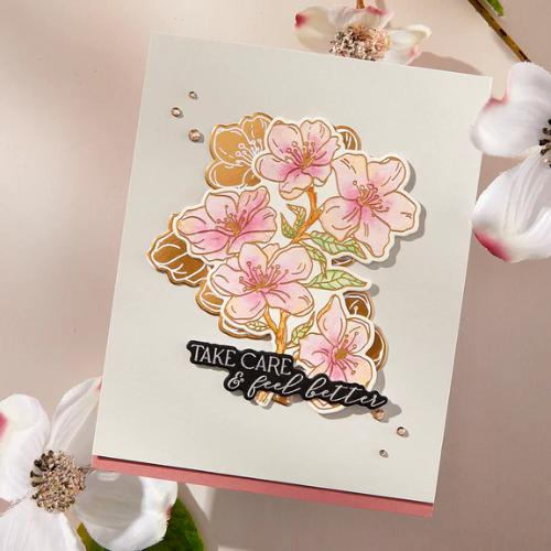 Spellbinders Cherry Blossoms BetterPress Plate & Die Set from the Spring in Kyoto Collection by Alex Syberia Designs