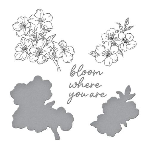 Spellbinders Cherry Blossoms BetterPress Plate & Die Set from the Spring in Kyoto Collection by Alex Syberia Designs