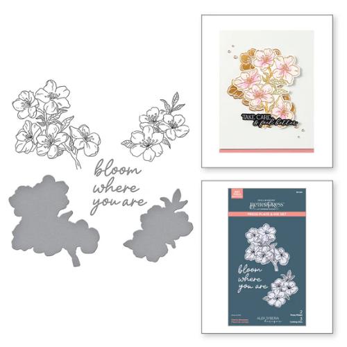 Spellbinders Cherry Blossoms BetterPress Plate & Die Set from the Spring in Kyoto Collection by Alex Syberia Designs