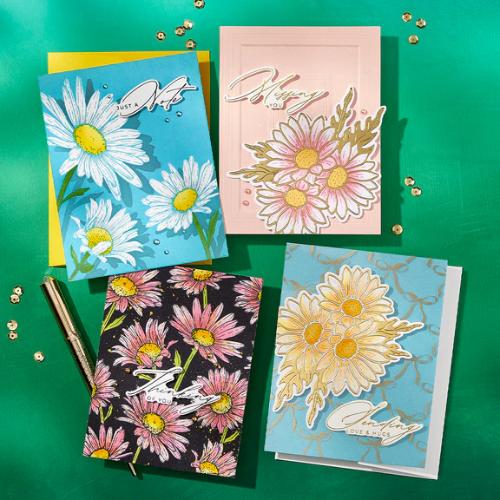 Spellbinders Molded Frame 3D Embossing Folder from the Yana's Daisies Collection by Yana Smakula