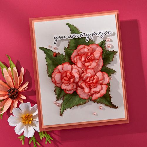 Spellbinders Begonia and Ladybugs Etched Dies from the Summer Solstice Garden Collection by Susan Tierney-Cockburn