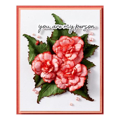 Spellbinders Begonia and Ladybugs Etched Dies from the Summer Solstice Garden Collection by Susan Tierney-Cockburn