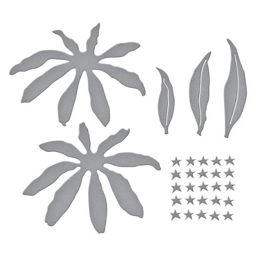 Spellbinders Echinacea (Coneflower) Etched Dies from the Summer Solstice Garden Collection by Susan Tierney-Cockburn