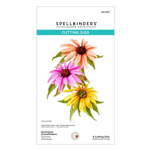 Spellbinders Echinacea (Coneflower) Etched Dies from the Summer Solstice Garden Collection by Susan Tierney-Cockburn