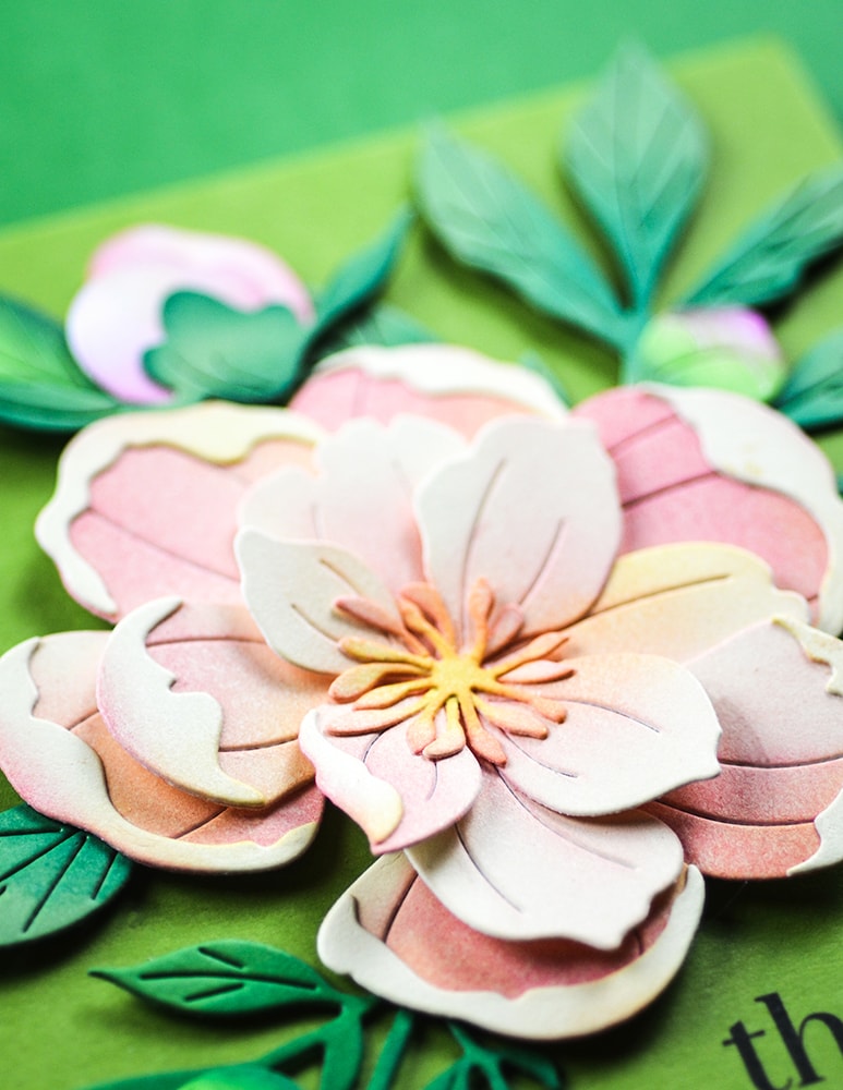 Memory Box 94875 Delightful Peony Blossom craft die