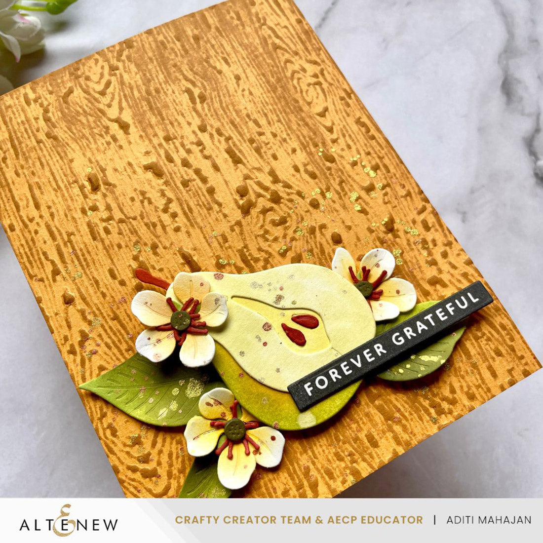 Altenew One-Go: Solid Sentiment Strips 3 Press Plates/Foil Plates (Gratitude Edition)