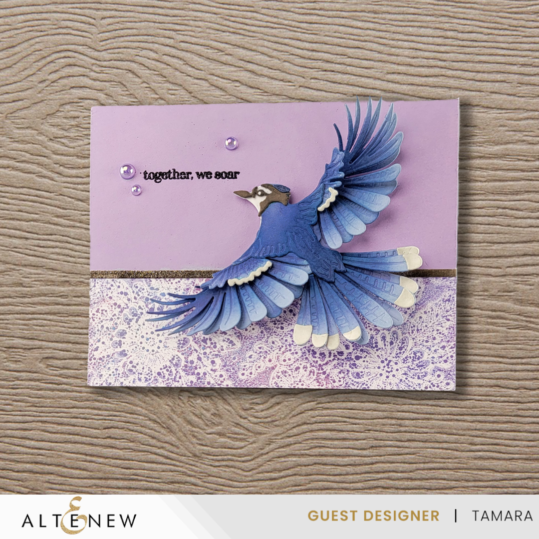 Altenew Creative Cuts: Feathered Beauty Layering Die Set