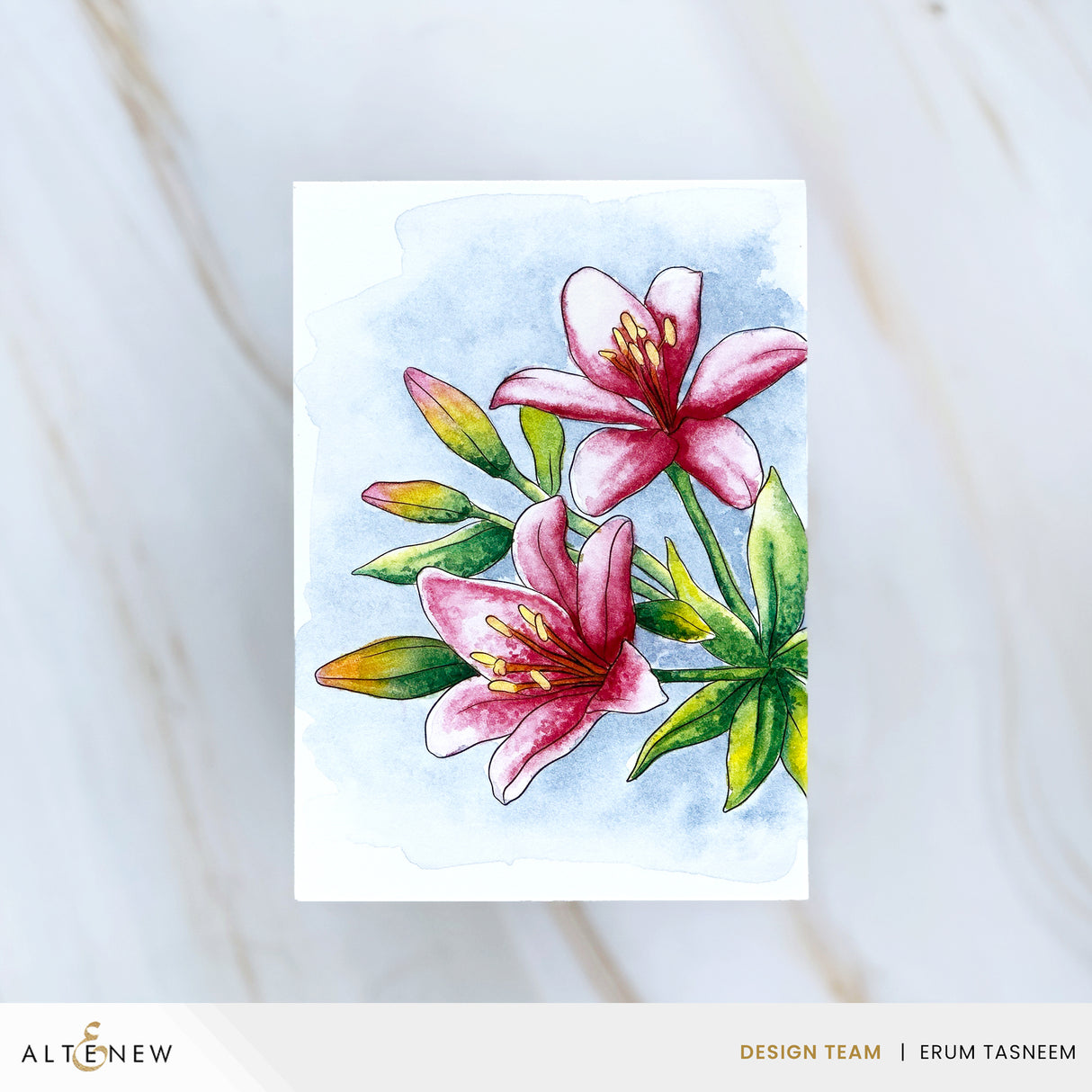 Altenew Watercolor Compact β Moody Brights