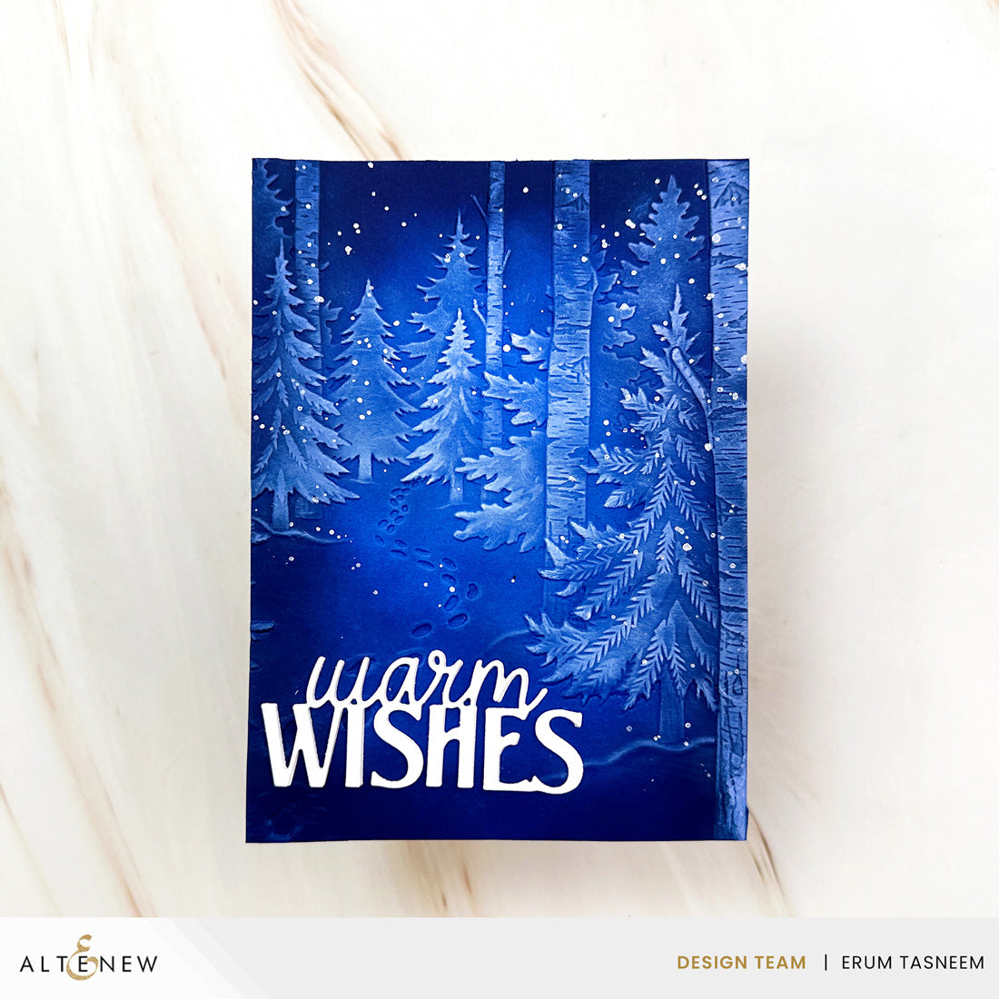 Altenew Snowy Footpath 3D Embossing Folder