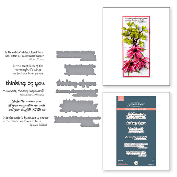 Spellbinders Summer Solstice Garden Sentiments BetterPress Plate & Die Set from the Summer Solstice Garden Collection by Susan Tierney-Cockburn
