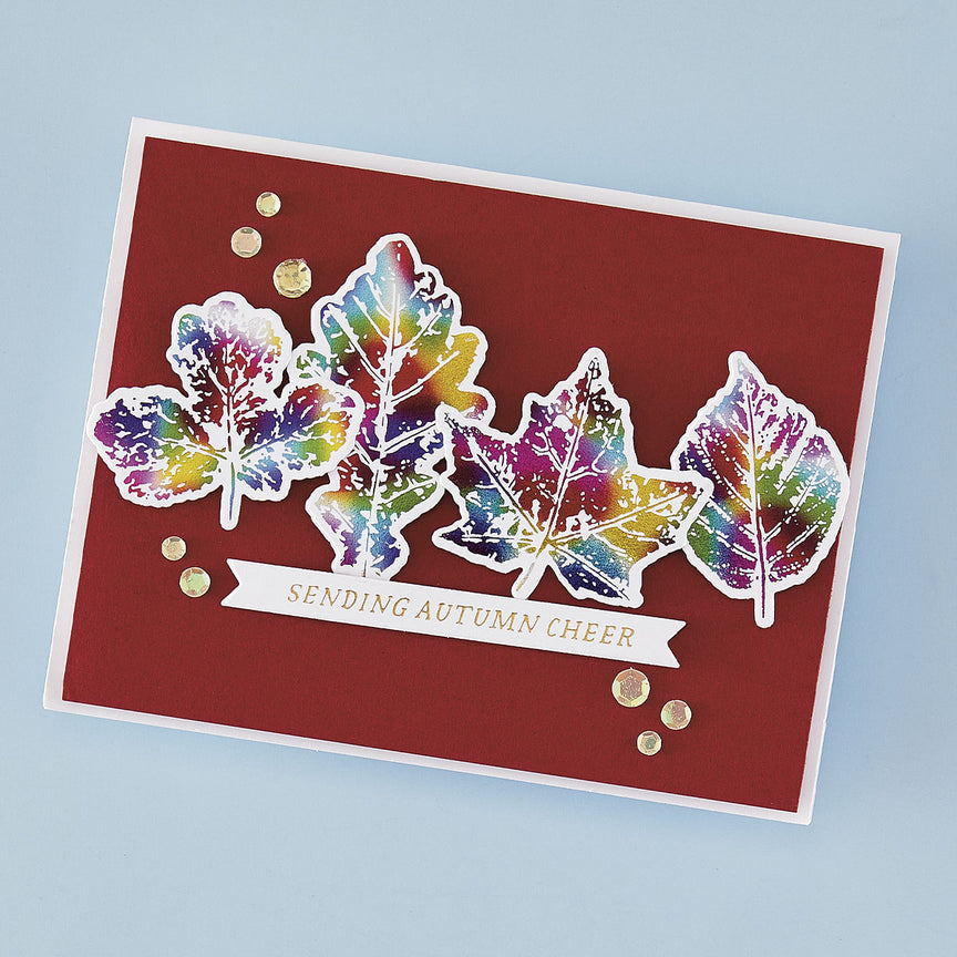 Spellbinders Autumn Cheer Press Plate & Die Set - BetterPress Society September 2025