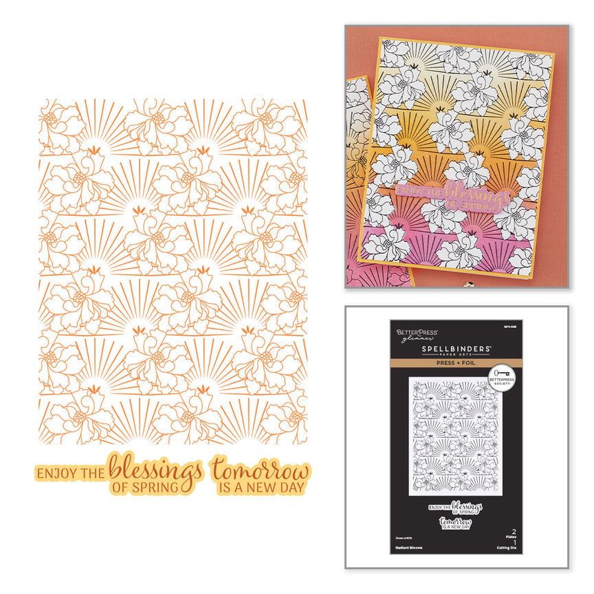 Spellbinders - Radiant Blooms Press Plate & Die Set & Stencil - BetterPress Society February 2026
