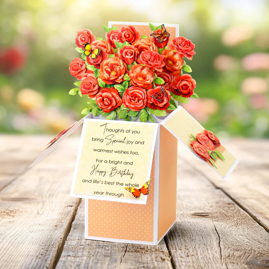 Katy Sue Designs White Pop Up Box Cards & Envelopes 140×200mm (Pack of 12)