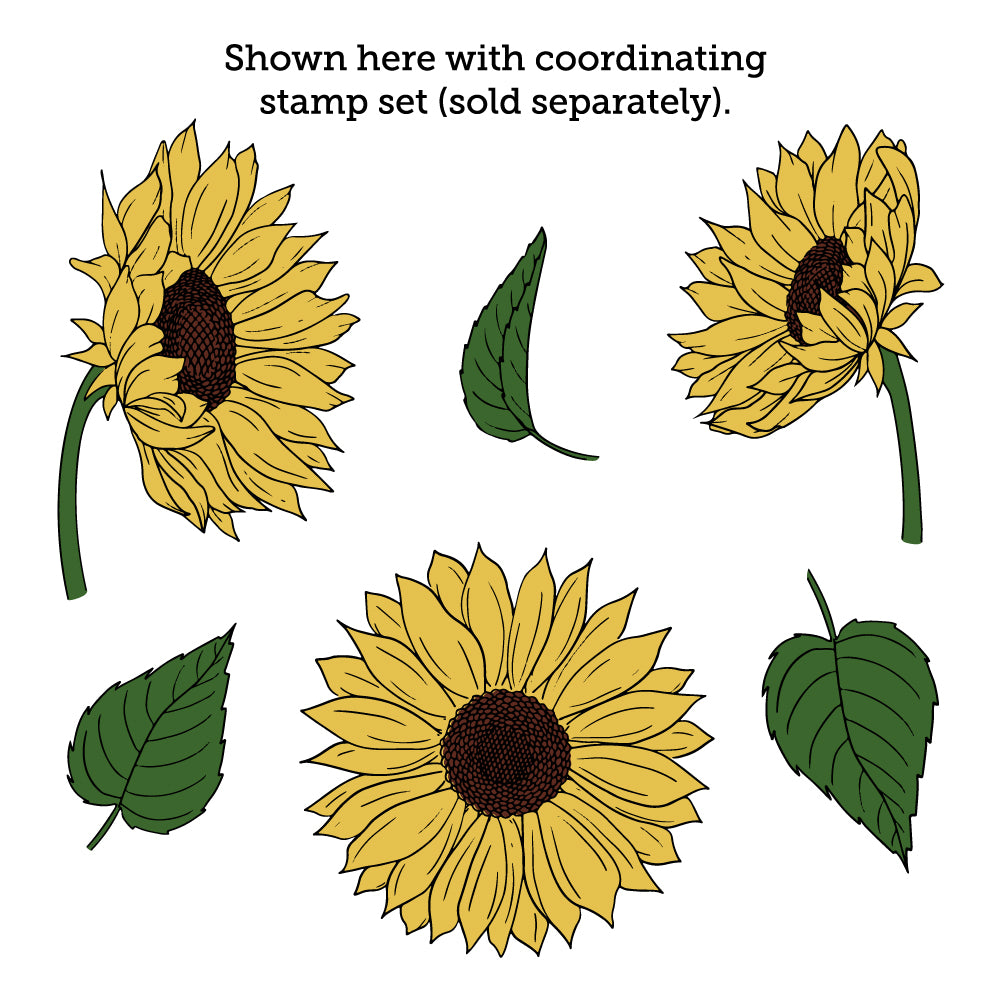 Honey Bee Bloom With Grace - Coordinating Stencil