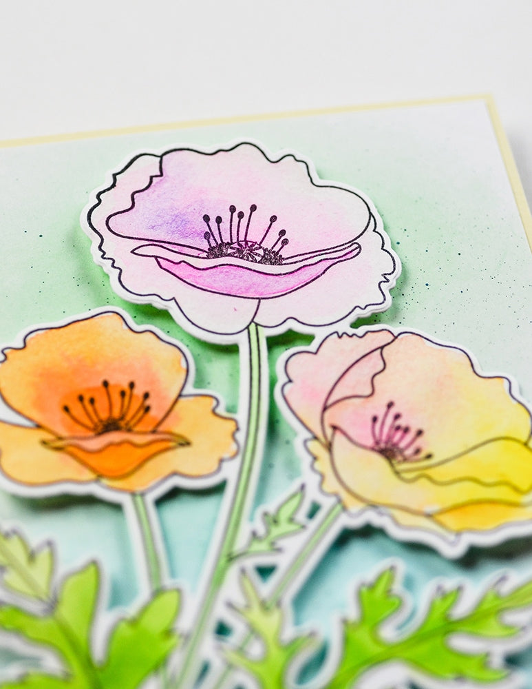 Memory box CL5281D – Playful Poppies Clear Stamp & Die Set